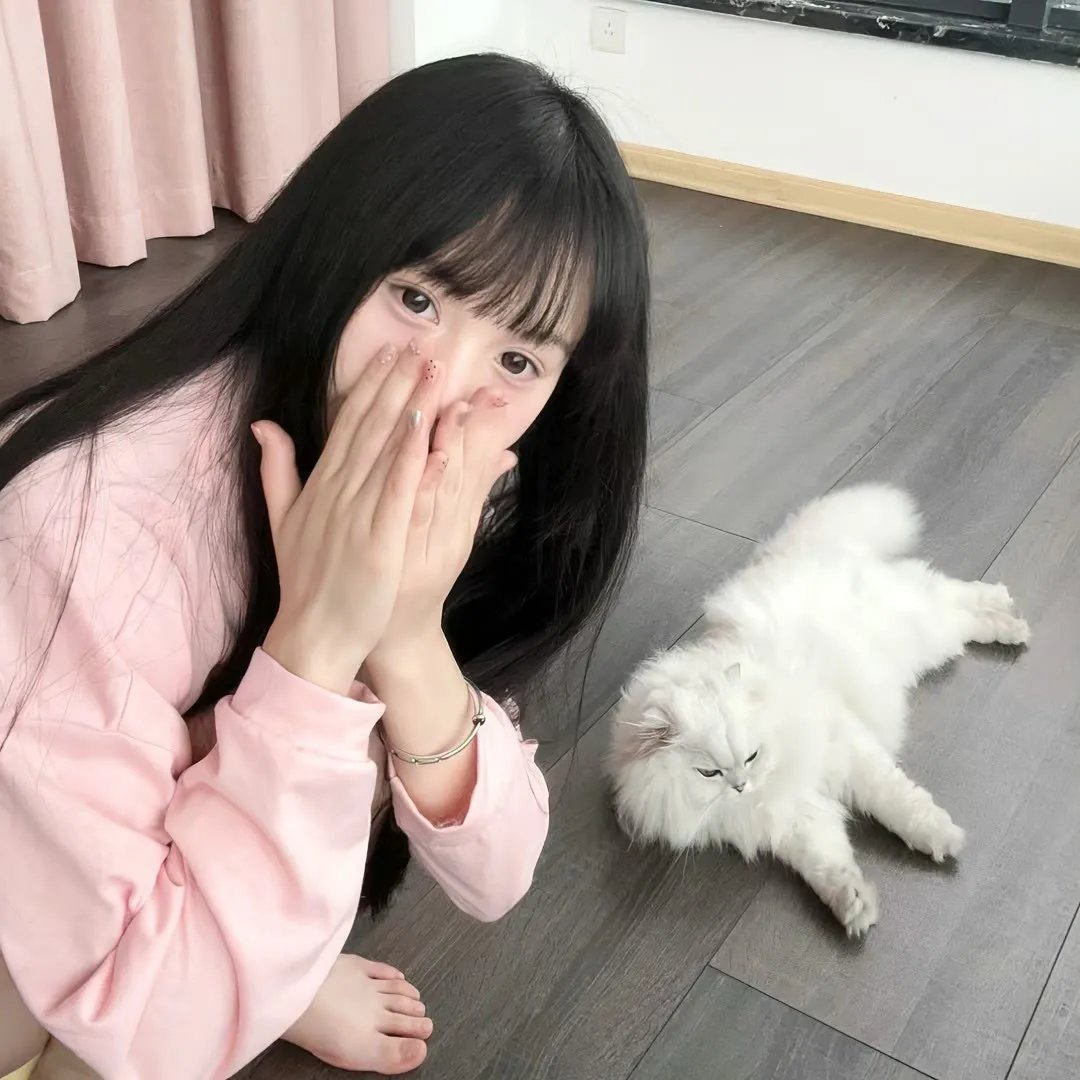闪电狗
